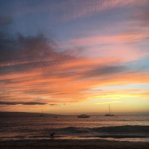 Meet your Posher, Breana